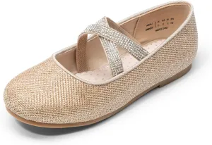DREAM PAIRS Girls Ballerina Dress Shoes Mary Jane Flats