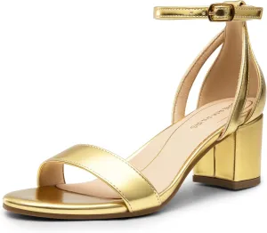 DREAM PAIRS Women's Chunky Low Heels Open Round Toe Ankle Strap Block Heels Party Dress Wedding Sandals