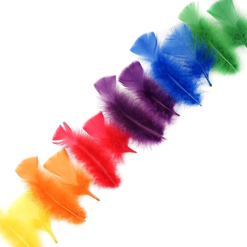 Loose Turkey Flats Section Dyed - Rainbow Mix