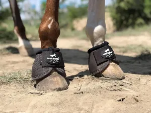 TGW RIDING 2520D Horse Bell Boots No-Turn Horse Bell Boots, Equine Ballistic Hoof Overreach Bell Boot, Pair
