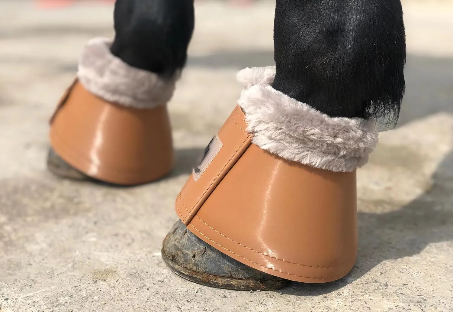 TGW RIDING Horse Bell Boots Dressage Horse Boots XL L M S